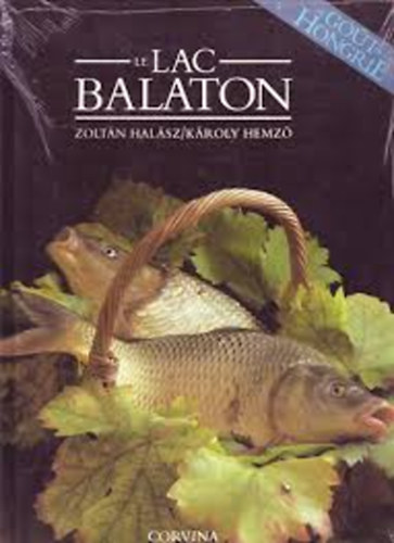 Hal�sz-Hemz� - Le lac Balaton