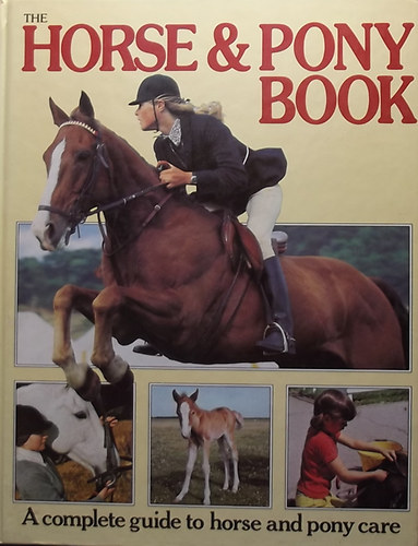 Sally Gordon - The Horse & Pony Book