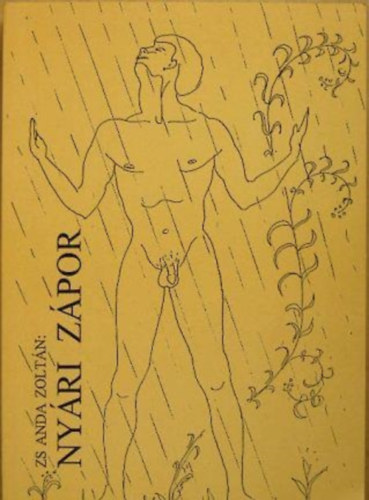 Zs. Anda Zolt�n - Ny�ri z�por