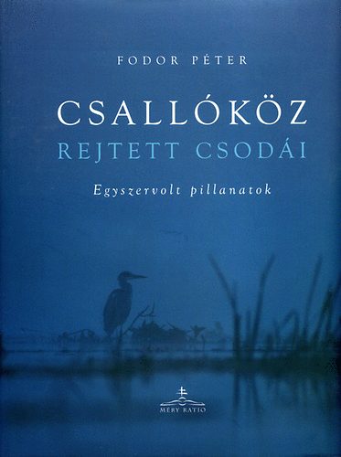 Fodor Pter - Csallkz rejtett csodi - Egyszervolt pillanatok