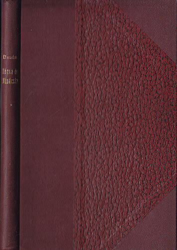 Daudet Alphonse - R�zsa �s Nin�cska