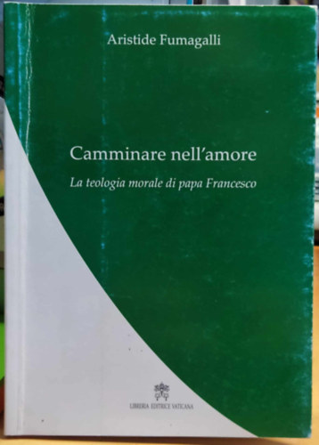 Aristide Fumagalli - Camminare nell'amore - La teologia morale di papa Francesco (Szerelemben jrs - Ferenc ppa erklcsteolgija)