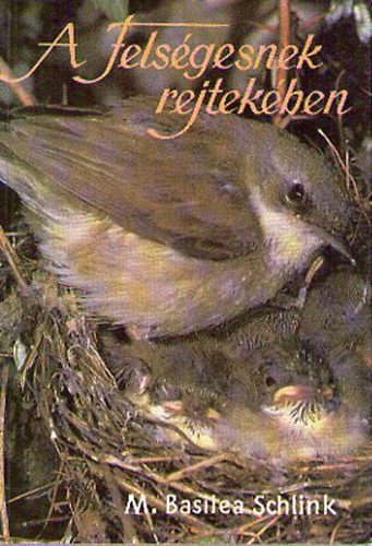 M.Basitea Schlink - A Fels�gesnek rejtek�ben