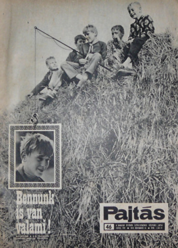 Vasv�ri Ferenc  (szerk.) - Pajt�s XXVIII. �vfolyam 46. sz�m