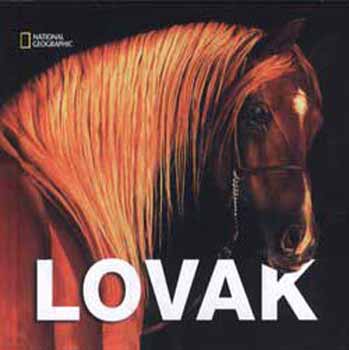 Paolo Manili - Lovak