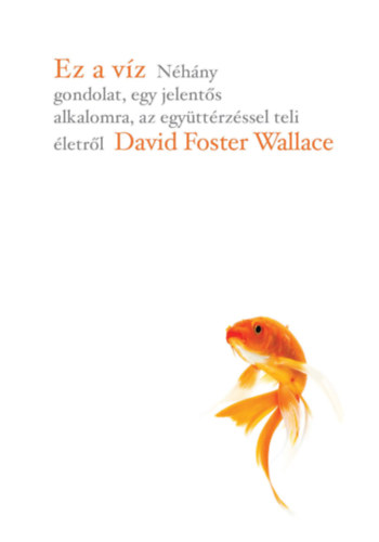 Davidfoster Wallace - Ez a v�z