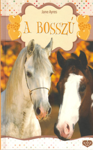 Jane Ayres - A bossz�