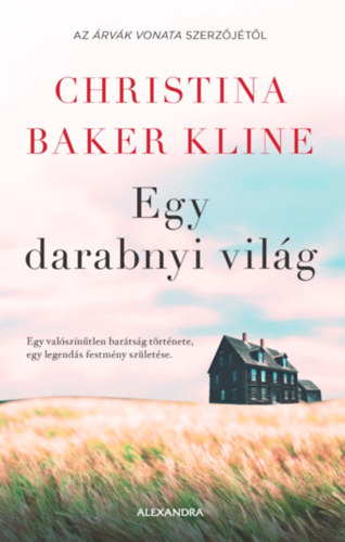 Christina Baker Kline - Egy darabnyi vilg