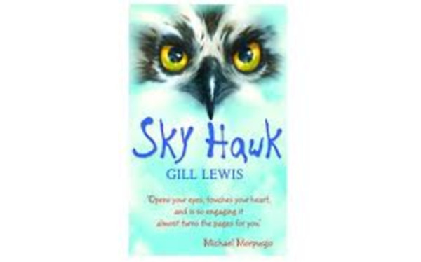 Gill Lewis - Sky Hawk