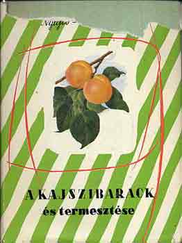 Nyujtó-Tomcsányi - A kajszibarack és termesztése
