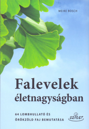 Meike Bosch - Falevelek �letnagys�gban
