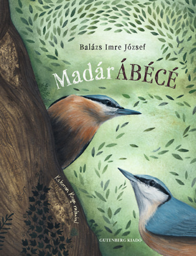 Balzs Imre Jzsef - MadrBC