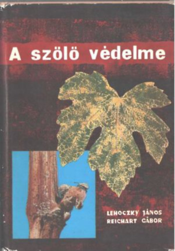 Dr. Lehoczky J�nos Dr. Reichart G�bor Pete Jen� - A sz�l� v�delme Hat�roz� a k�rosod�st jelz� elv�ltoz�sok alapj�n, Vir�gzati �s alaki rendelleness�gek, A t�kefej, a t�rzs �s a vessz� elv�ltoz�sainak