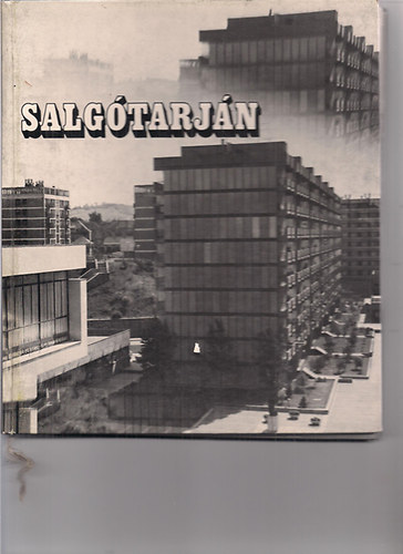 Gink K�roly - Salg�tarj�n