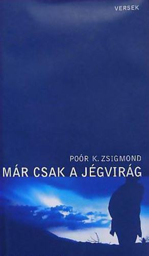 Por K. Zsigmond - Mr csak a jgvirg