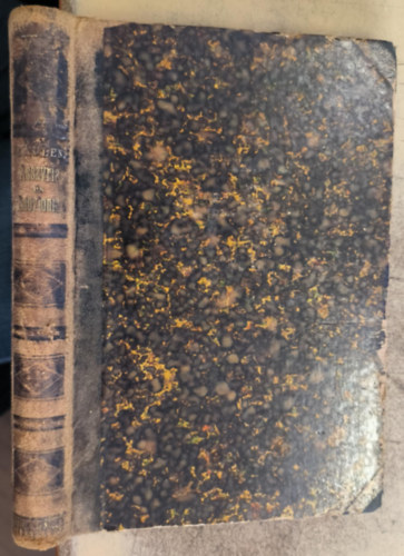 Kaulen Ferencz - Asszyria és Babylonia a legujabb fölfedezések után