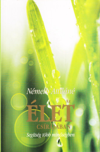 N�meth Attil�n� - Az �let cs�r�j�ban
