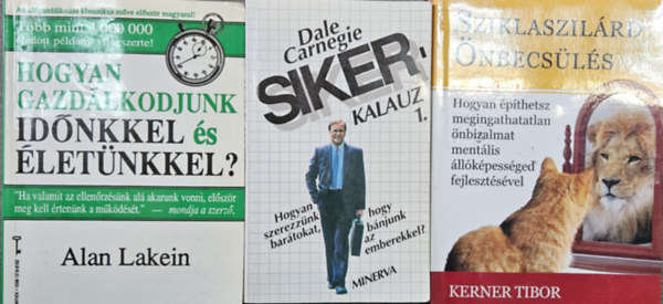 3 db  zleti knyv:Hogyan gazdlkodjunk idnkkel s letnkkel? (Idgazdlkods)   + Sikerkalauz 1. Hogyan szerezznk bartokat, hogyan bnjunk az emberekkel  + Sziklaszilrd nbecsls - Hogyan pthetsz megingathatatlan nbizalm