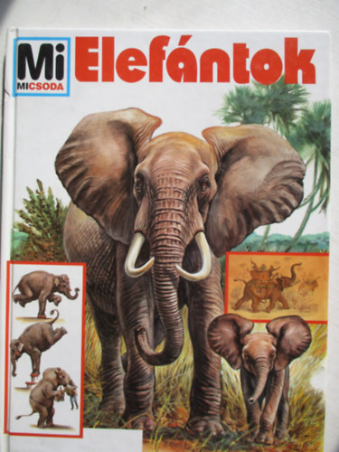 Dr.Urlich Sedlag - Elefántok- Mi micsoda 17.