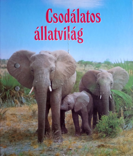 Csodálatos állatvilág 1. - Emlősök