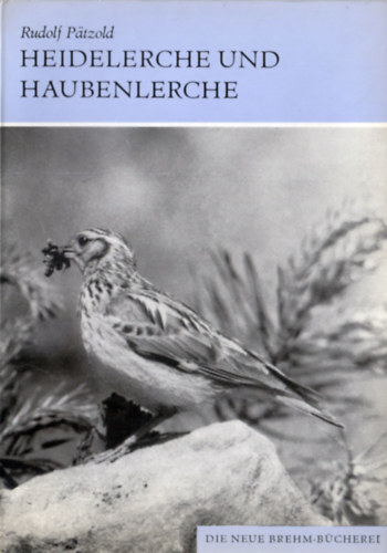 Rudolf Ptzold - Heidelerche und Haubenlerche (Lullula arborea (L.) und Galerida cristata (L.))