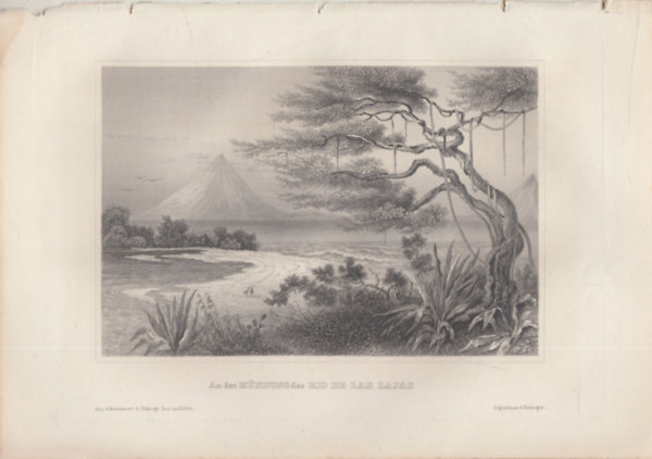An der M�ndung des Rio de Las Lajas (A Rio Las Lajas foly� torkolata, Panama, K�z�p-Amerika) (16x23,5 cm lapm�ret� eredeti ac�lmetszet, 1856-b�l)