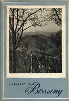 Antalffy Gyula - B�rzs�ny