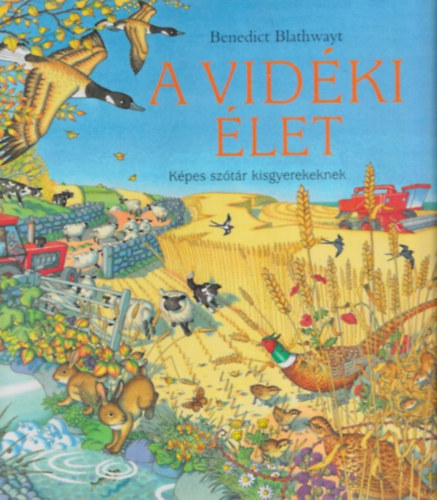 Benedict Blathwayt - A vidki let - Kpes sztr kisgyerekeknek