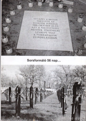 Bed Mikls - Korbuly Kati - Sorsforml 56 nap...