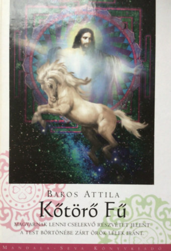 Bakos Attila - Kőtörő fű - Magyarnak lenni cselekvő részvétet jelent a test börtönébe zárt örök lélek iránt