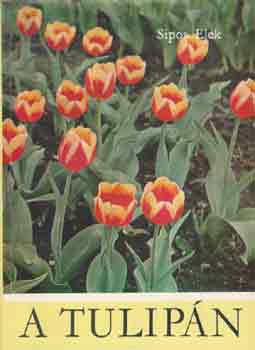 Sipos Elek - A tulip�n