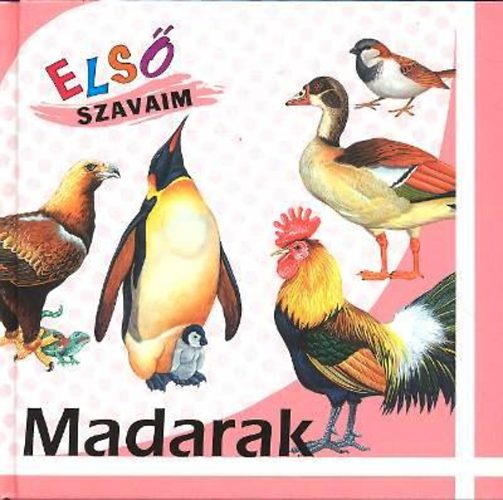 Madarak - Els szavaim