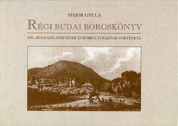 Major Gyula - Rgi budai borosknyv