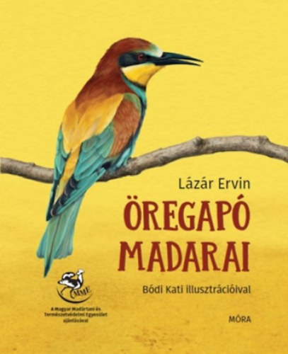 Lzr Ervin - regap madarai