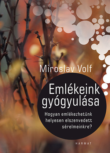 Miroslav Volf - Emlkeink gygyulsa