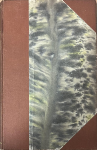 R�kosi Viktor - Elbesz�l�sek �s t�rc�k