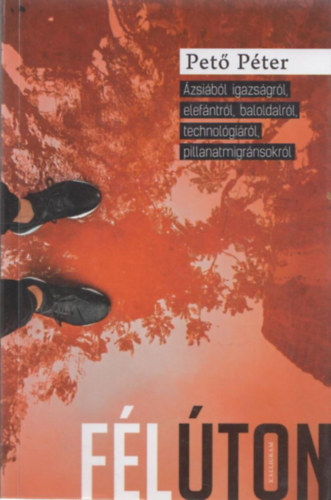 Pető Péter - Félúton