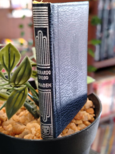 Gerardo Diego - Imagen. Poemas (1918-1921) -Versek - minik�nyvek