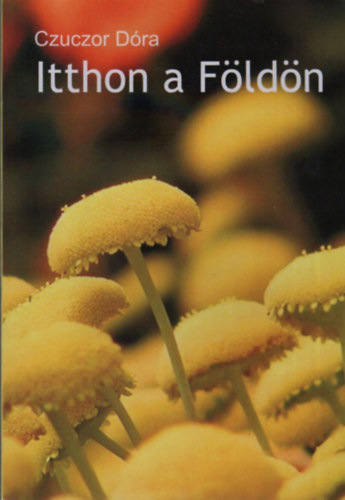 Czuczor Dóra - Itthon a Földön