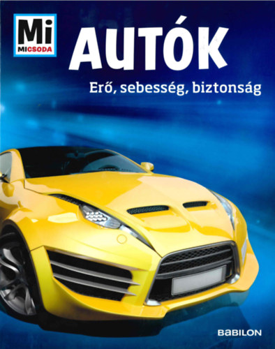 Bernd Flessner - Autk - Er, sebessg, biztonsg