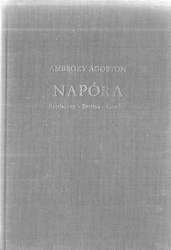 Ambrzy goston - Napra
