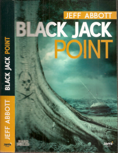 Jeff Abbott - Black Jack Point