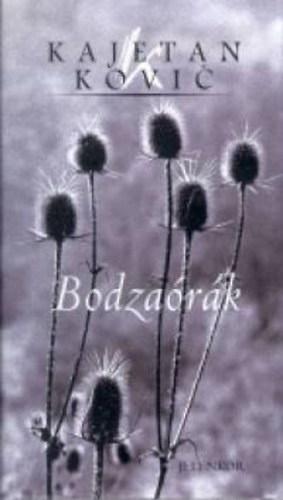 Kajetan Kovic - Bodza�r�k