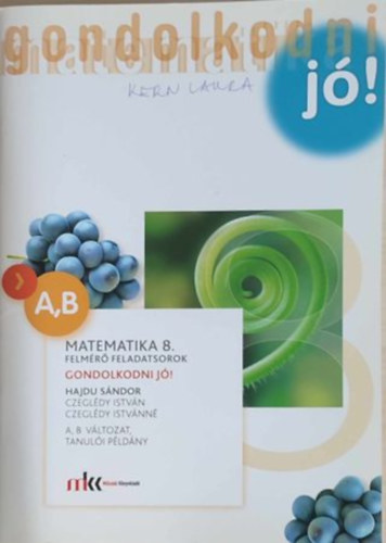 Czegl�di Istv�n, Czegl�di Istv�nn� Hajdu S�ndor - Gondolkodni j�! - Felm�r� feladatsorok Matematika 8. - A,B v�ltozat, tanul�i p�ld�ny