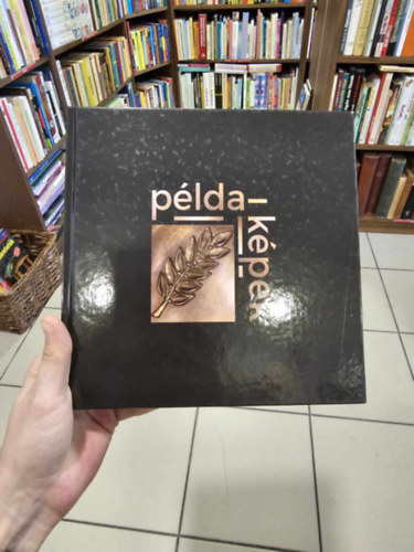 Feldman L�szl� - Kot�n S�ndorn� - P�link�sn� - P�ldak�pek (Dabas 2019)