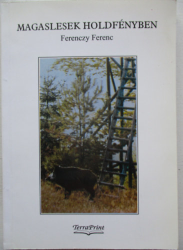 Ferenczy Ferenc - Magaslesek holdfnyben