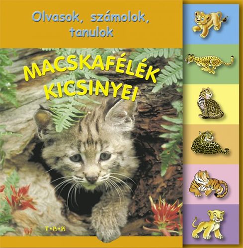 Macskaf�l�k kicsinyei - Olvasok., sz�molok, tanulok