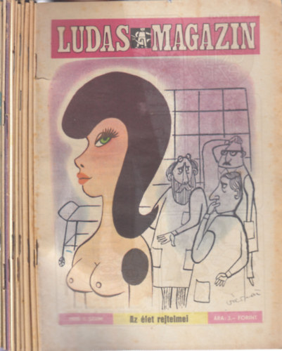 �rkus J�zsef  (f�szerk.) - 11 db. Ludas magazin 1978. (hi�ny: okt�ber) + Ny�ri �r�m�k