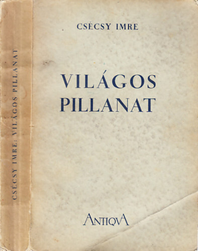 CSécsy Imre - Világos pillanat