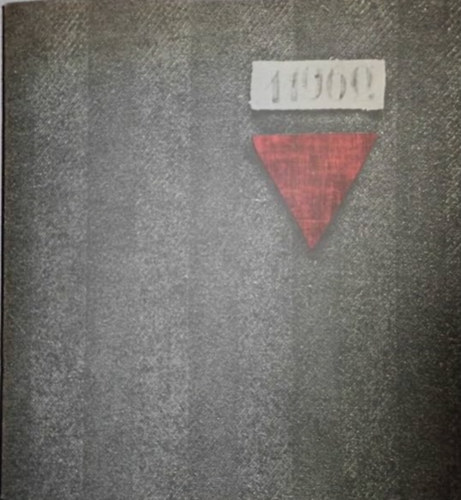 Johannes Segieth - Konzentrationslager dachau 1933-1945